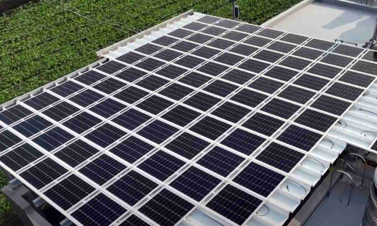 尊龙z6SunSteel光电浪板升级双玻结构，，，，以提升机械负载强度及气候耐候度，，可广泛运用于多元场域